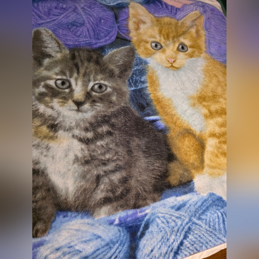 Cozy Cat Blanket with Gray and Tan Kittens